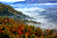 1111 Best Photos