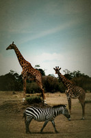 Africa