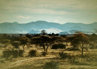 Africa