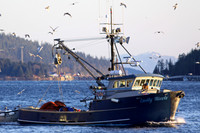 Alaska