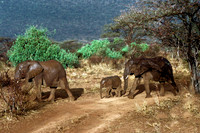 Africa