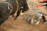 Western Tradition