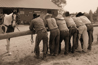Western Tradition