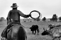 Western Tradition