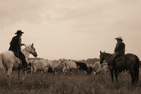 Western Tradition