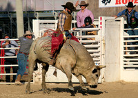 Western Tradition