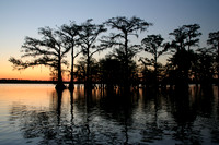 Old South