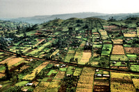 Africa