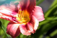 Northeast United States